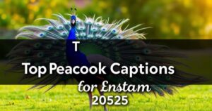Top Peacock Captions for Instagram 2025